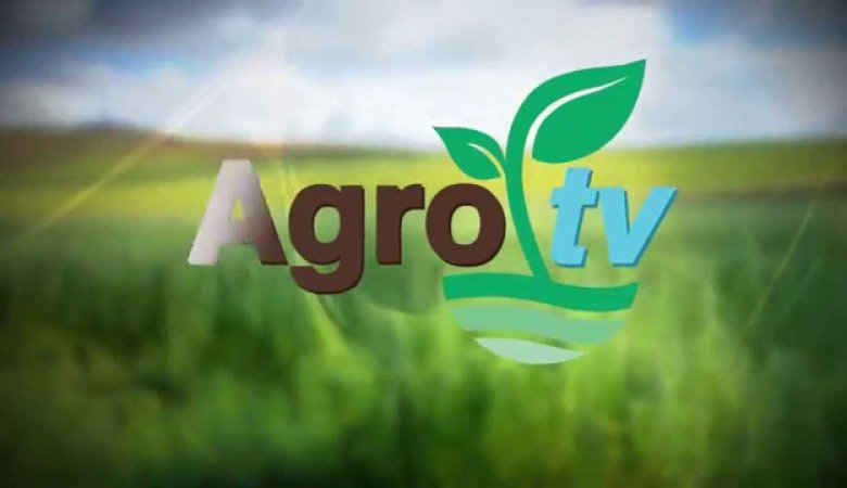 Agro Tv Live