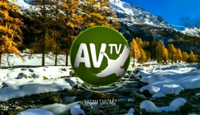 Av Tv Live